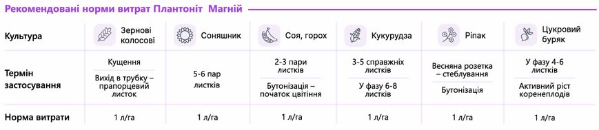 Удобрение Plantonit Mg (Магний) 10 л, при недостатке магния фото