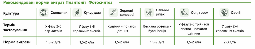 Антистресант Plantonit Photosynthesis (Фотосинтез) 1 л, для стимуляції фотосинтезу фото
