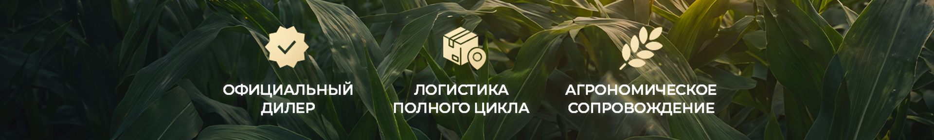 переваги, десктоп, S