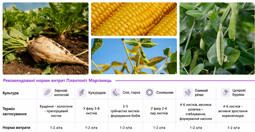 Добриво Plantonit Mn (Марганець) 10 л, при нестачі марганцю фото
