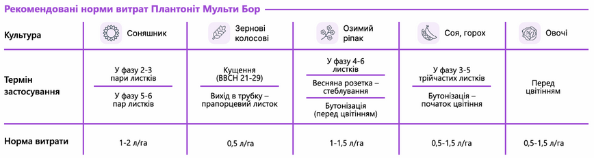 Удобрение Plantonit Мульти Бор 120, 5 л, при недостатке бора фото