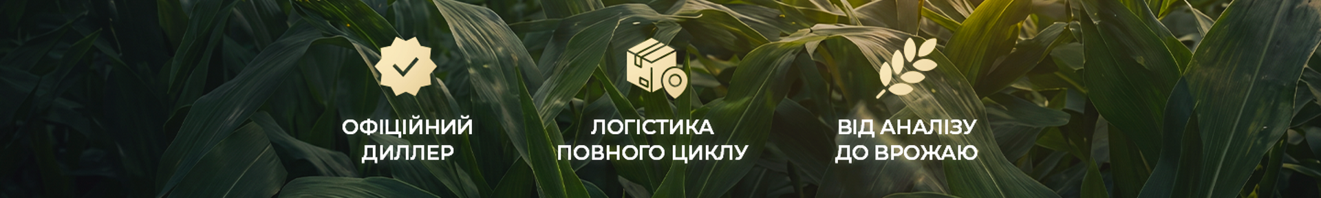 переваги, десктоп, S